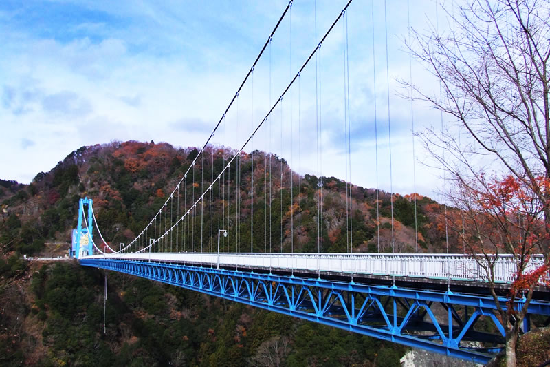大吊橋からバンジーしながら紅葉を楽しめる 常陸太田 竜神峡紅葉まつり19 開催中