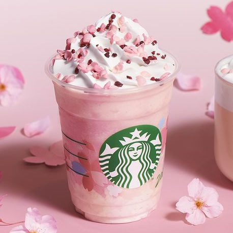 さくら ミルクプリン フラペチーノ