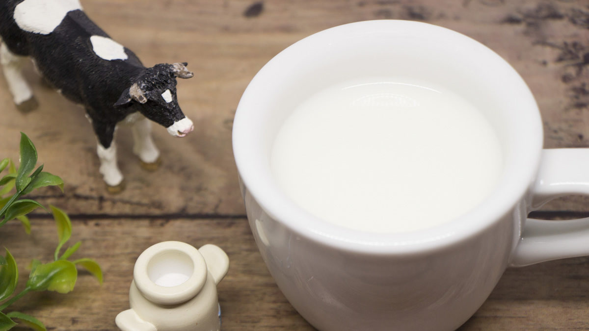 牛乳を救う プラスワンプロジェクト