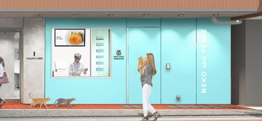 ねこねこチーズケーキ 自由が丘店