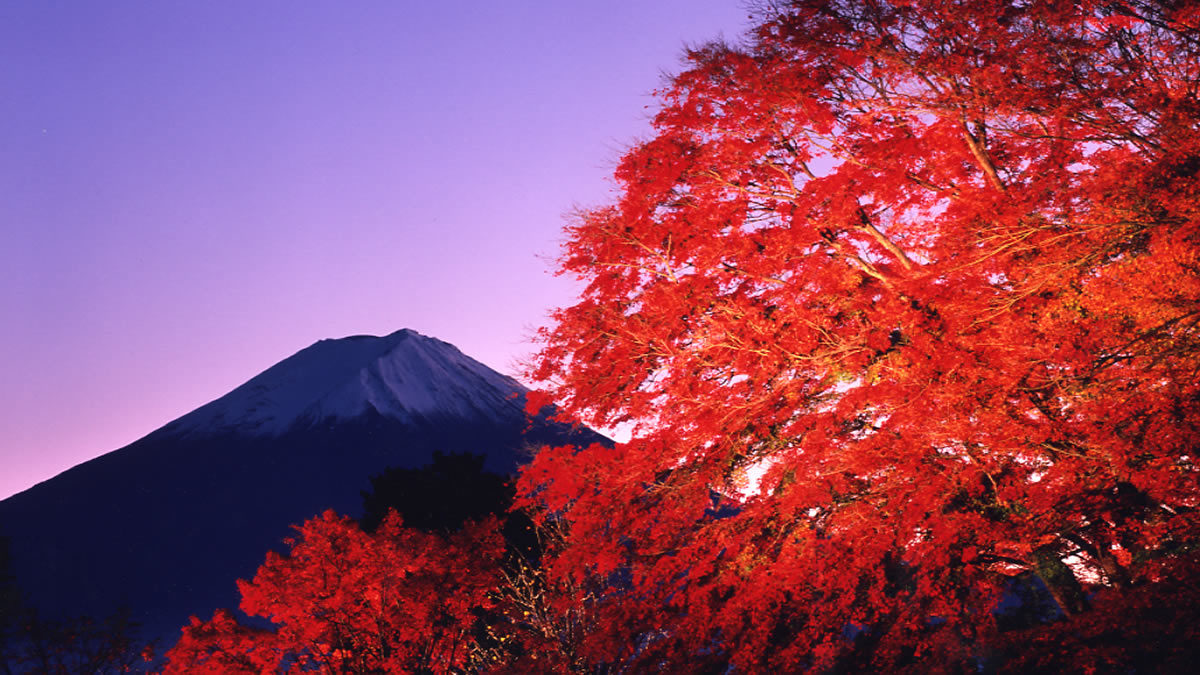富士河口湖 紅葉まつり