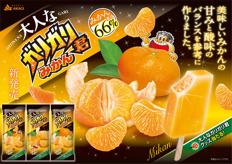 大人なガリガリ君 みかん