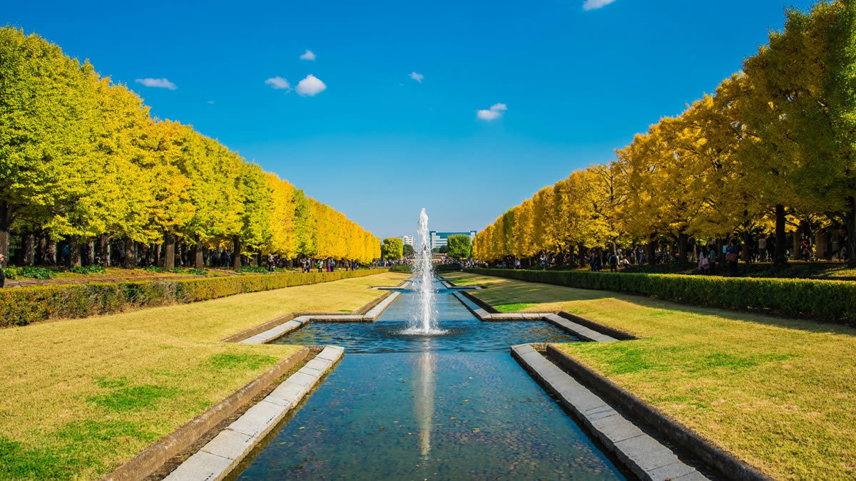 昭和記念公園 黄葉紅葉まつり