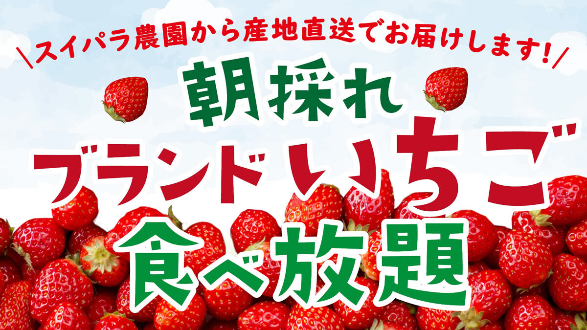 スイーツパラダイス 朝採れブランドいちご食べ放題 12月3日 5月中旬まで 100分 2 580円