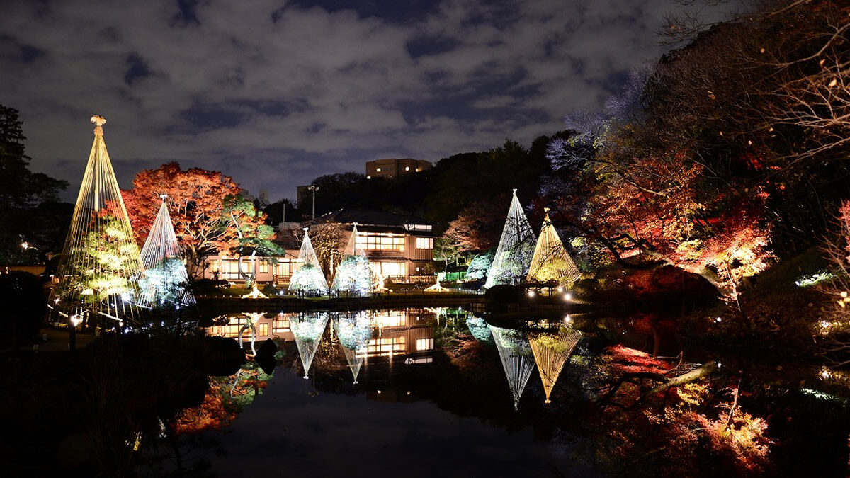 肥後細川庭園「秋の紅葉ライトアップ ひごあかり」