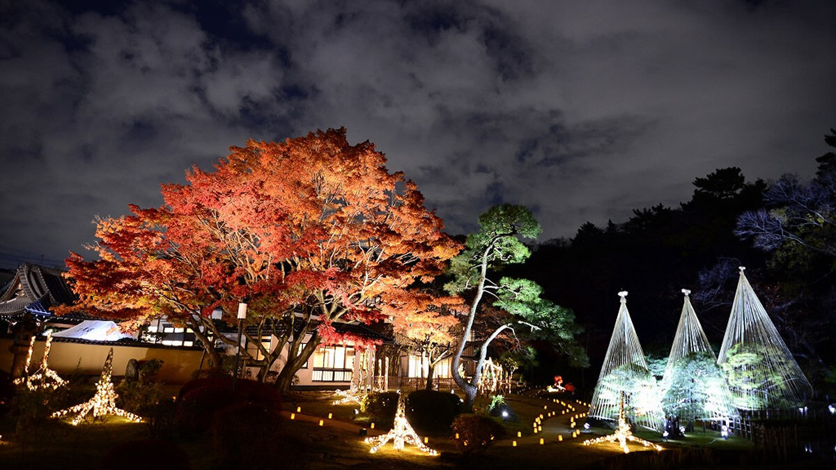 肥後細川庭園「秋の紅葉ライトアップ ひごあかり」