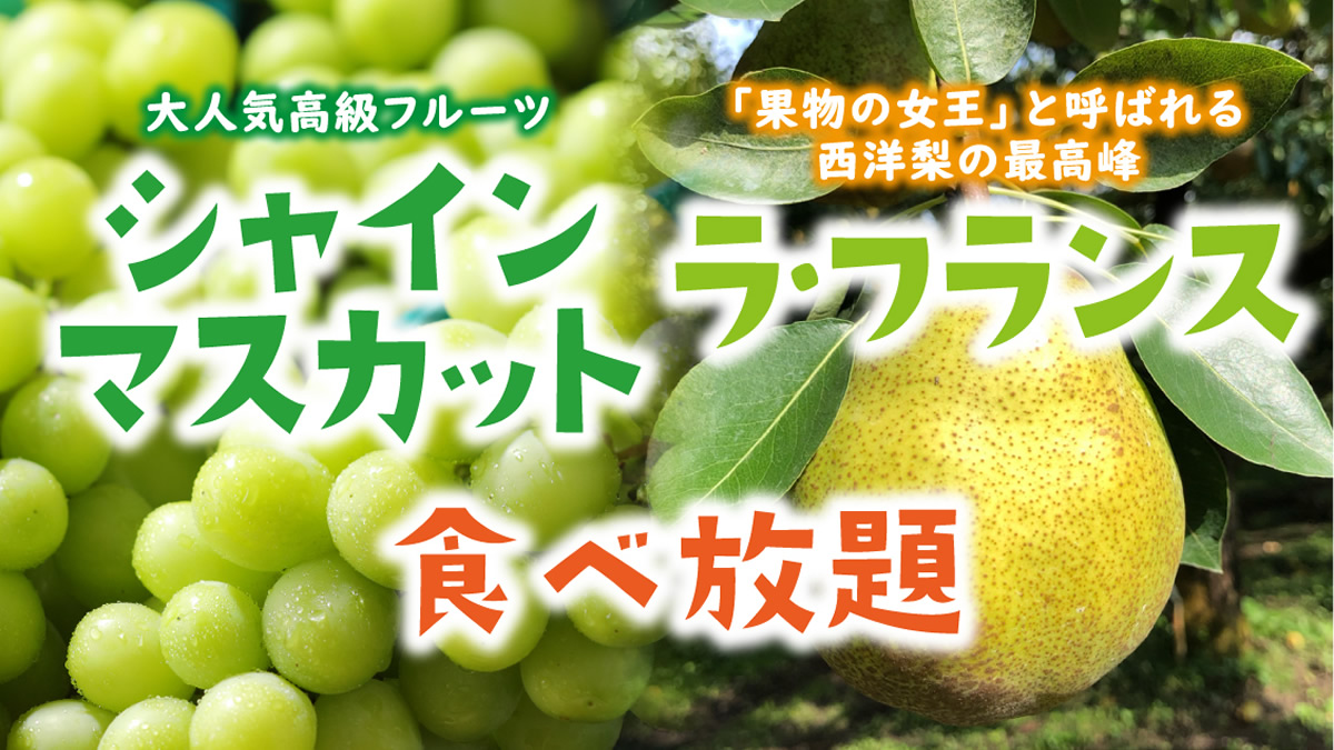 スイーツパラダイス シャインマスカット ラ フランス食べ放題フェア 11月1日から 100分 2 580円