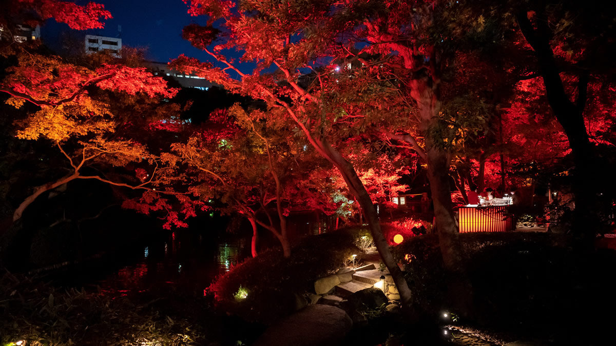 白金台の八芳園で秋の紅葉ライトアップイベント