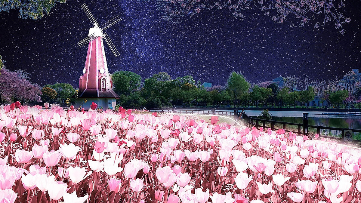 浮間公園で“チューリップ×桜”の夜間ライトアップイベント