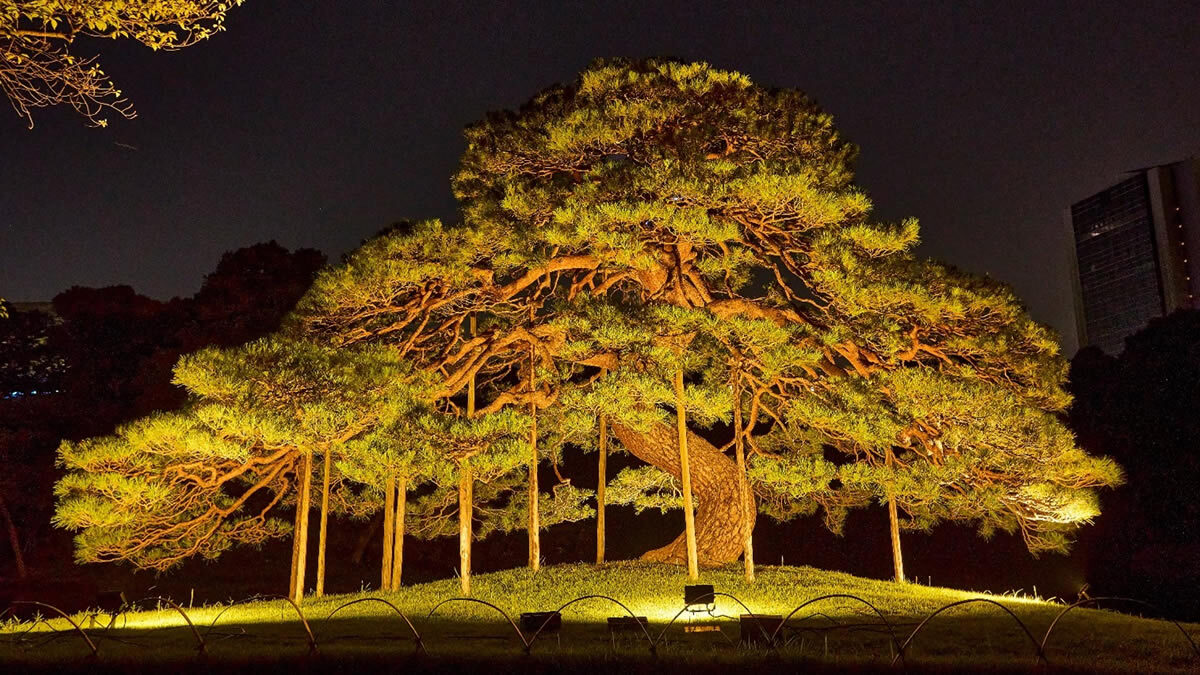 夜間特別開園「秋の夜長の小石川後楽園」