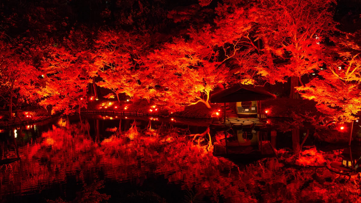 白金台 八芳園 秋の紅葉ライトアップイベント