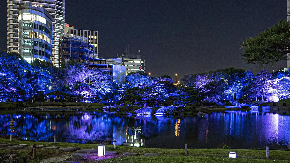 旧芝離宮全景を愉しむライトアップショー「ひかりめぐる庭」