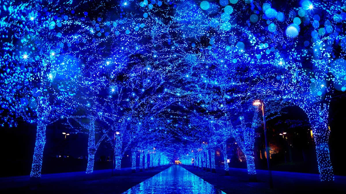 青の洞窟 SHIBUYA 2025