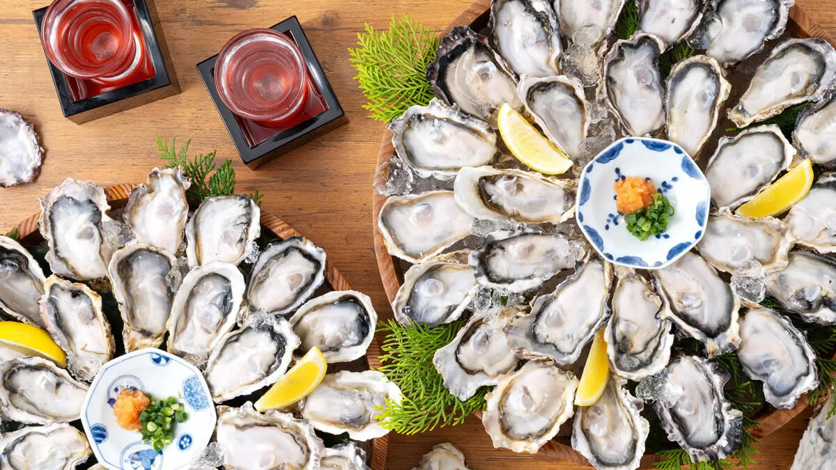 居酒屋 庄や「何個でも生牡蠣１個100円」