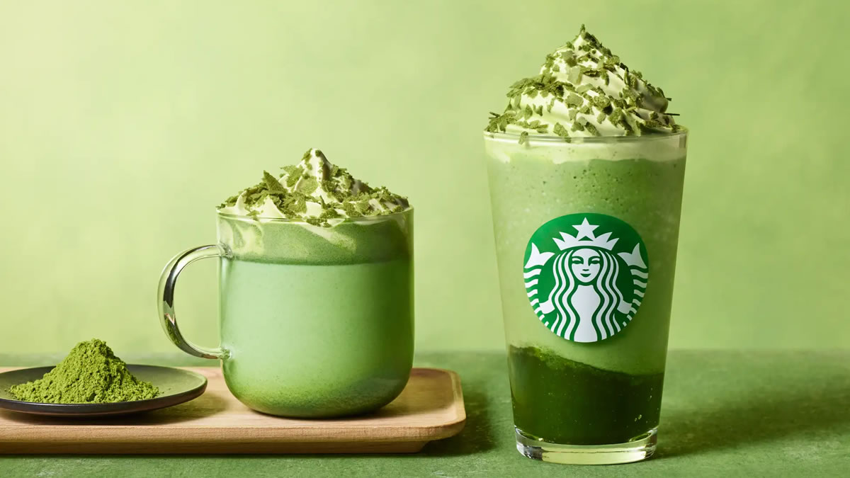 リンゴ様　Starbucks 抹茶　１２箱 リンゴ様Starbucks 抹茶12箱