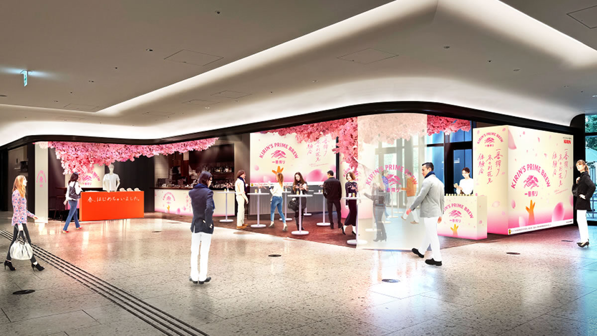 「一番搾り」冬のお花見体験会 立春なので、ホンモノの桜咲かせちゃいました。