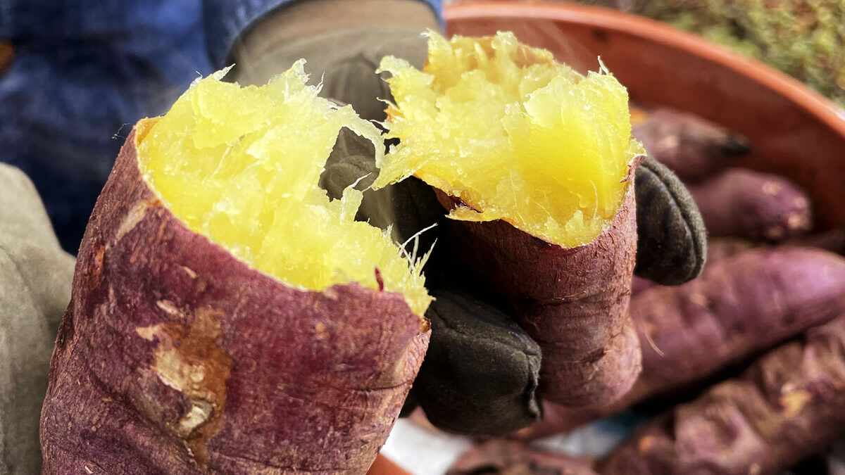 やきいも友の会 in 錦糸公園