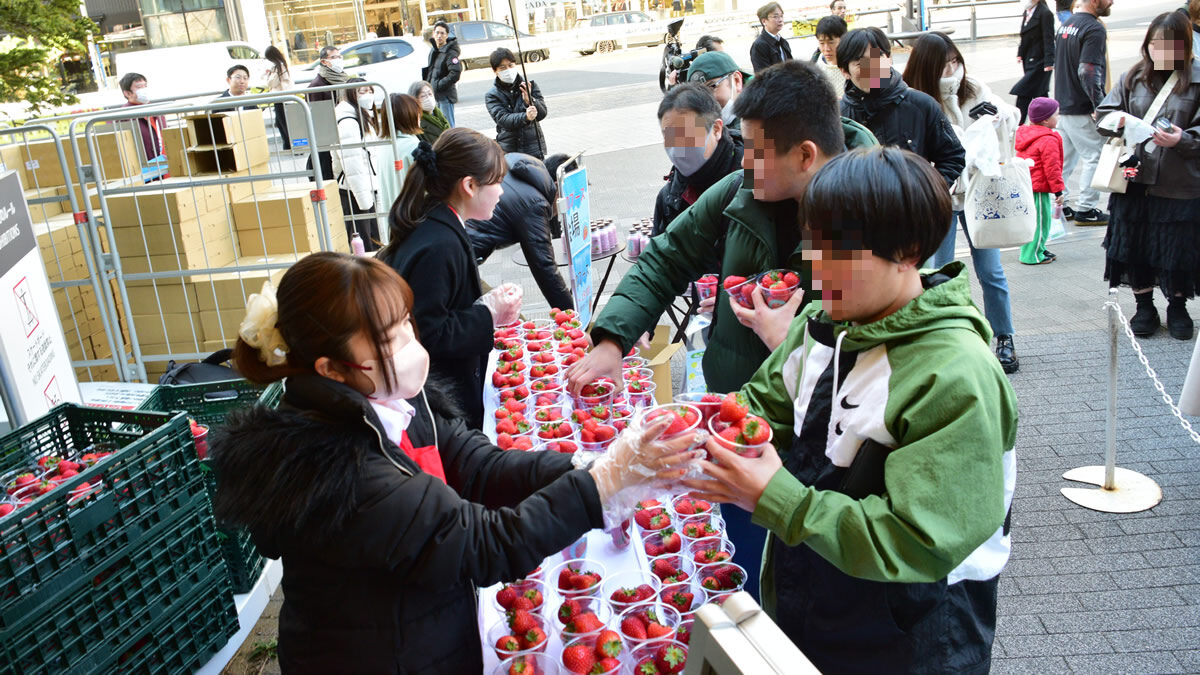 とちぎのいちごふぇす