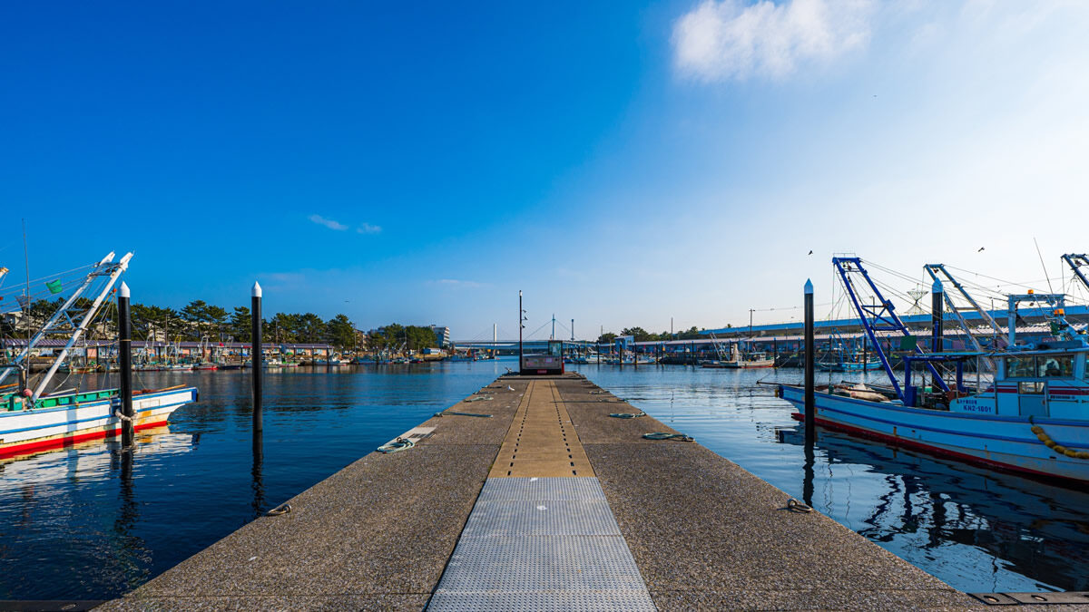 横浜市 金沢漁港海産物フェスタ