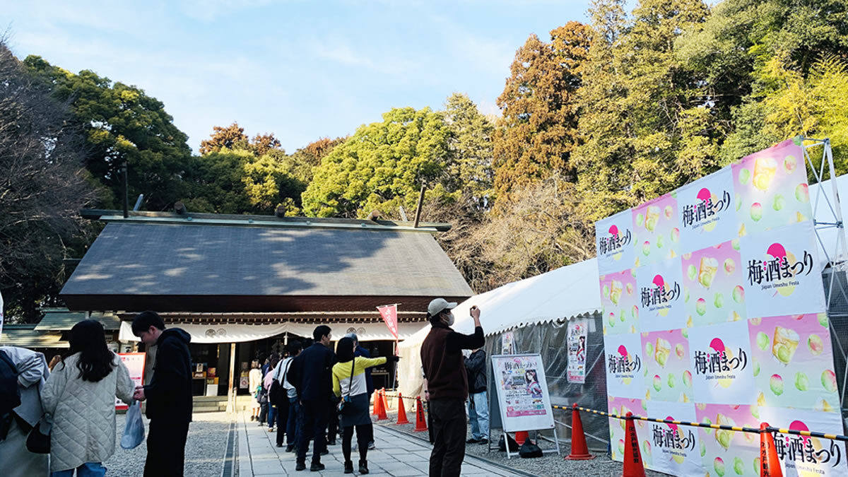全国梅酒まつり