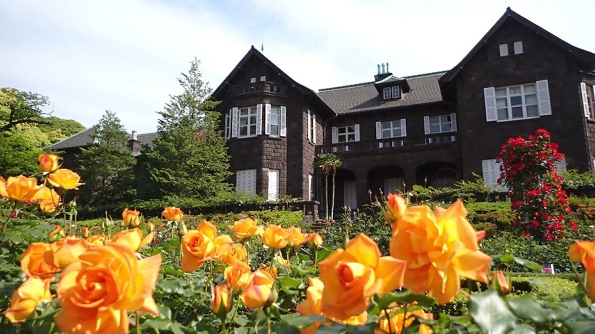 旧古河庭園 バラフェスティバル