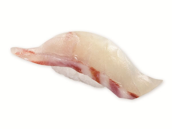 愛媛県産真はた