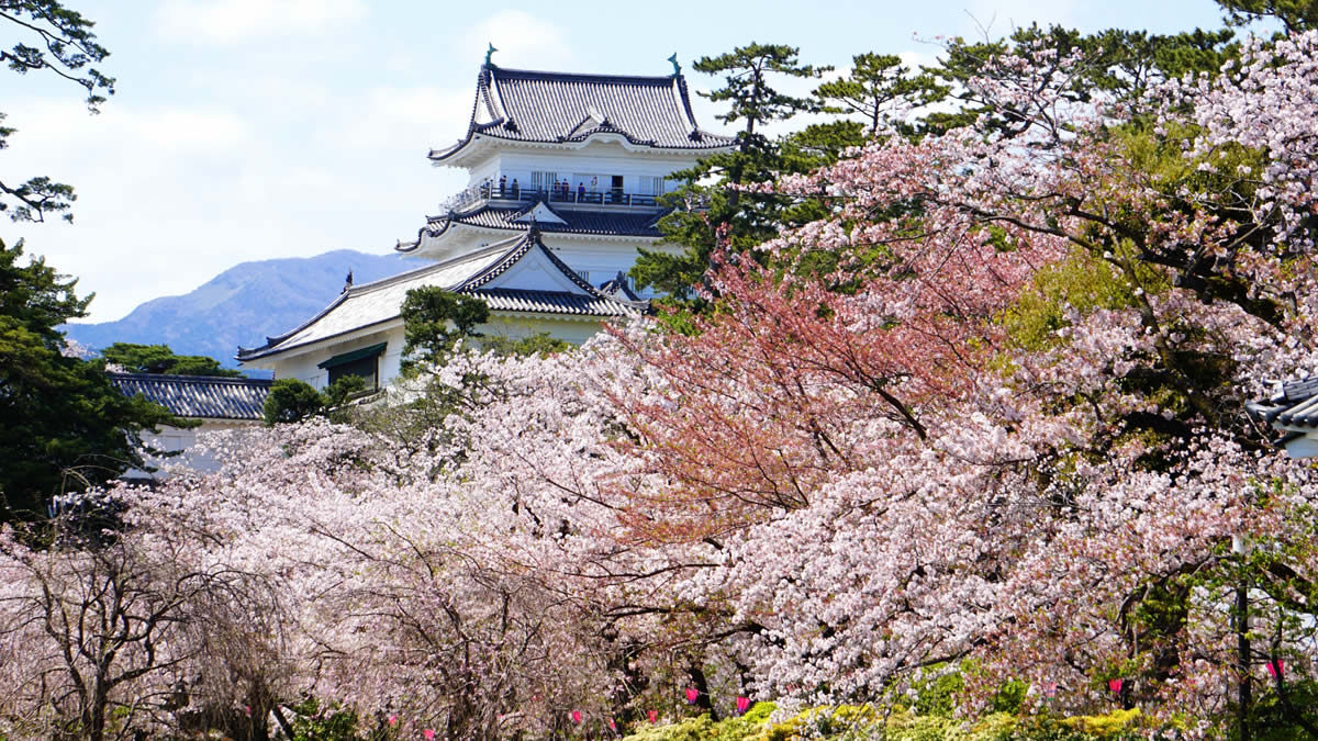 小田原おでんサミット