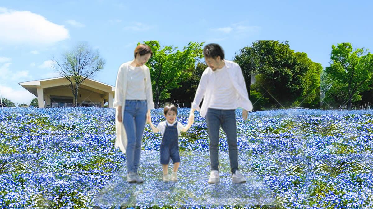 ネモフィラスカイステージ