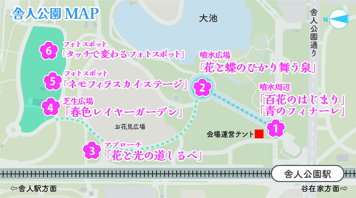 花と光のムーブメント 舎人公園 ネモフィラと百花の花景色 