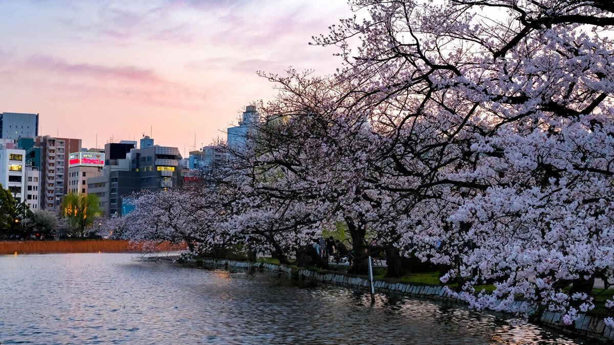 うえの桜フェスタ
