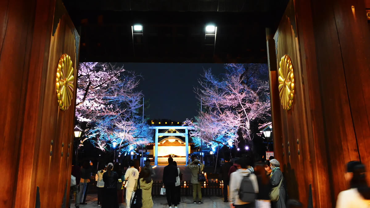 靖国神社「夜桜詣」