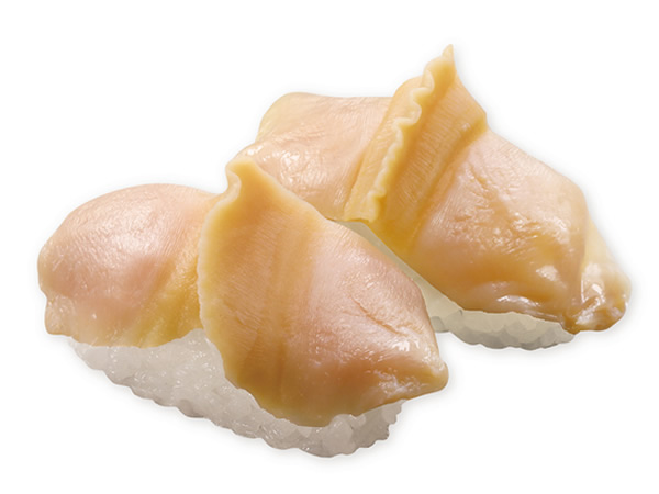 アイスランド貝(長寿貝)