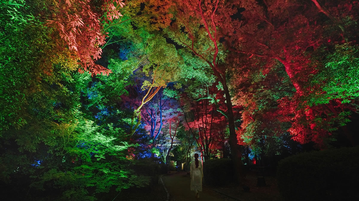 チームラボ 養老渓谷
