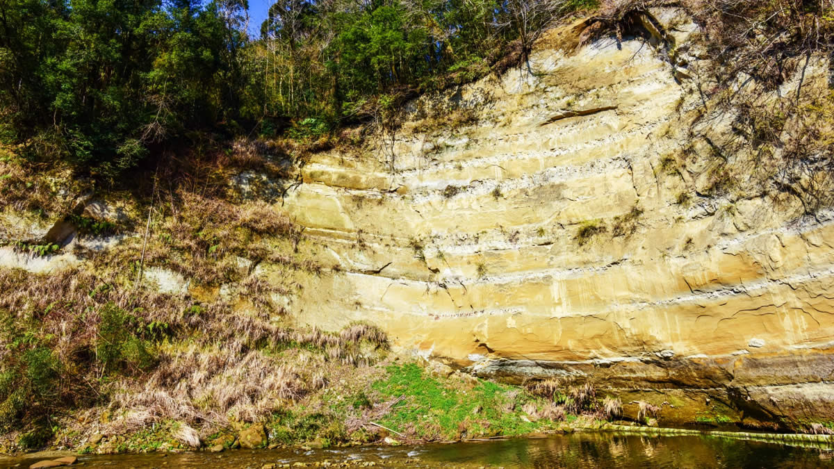 チームラボ 養老渓谷 