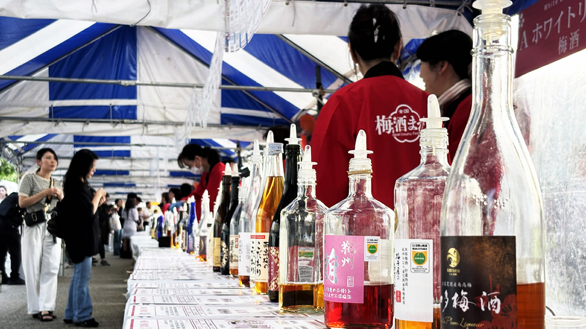 전국 매실주 축제 닷사이 매실주 이미지