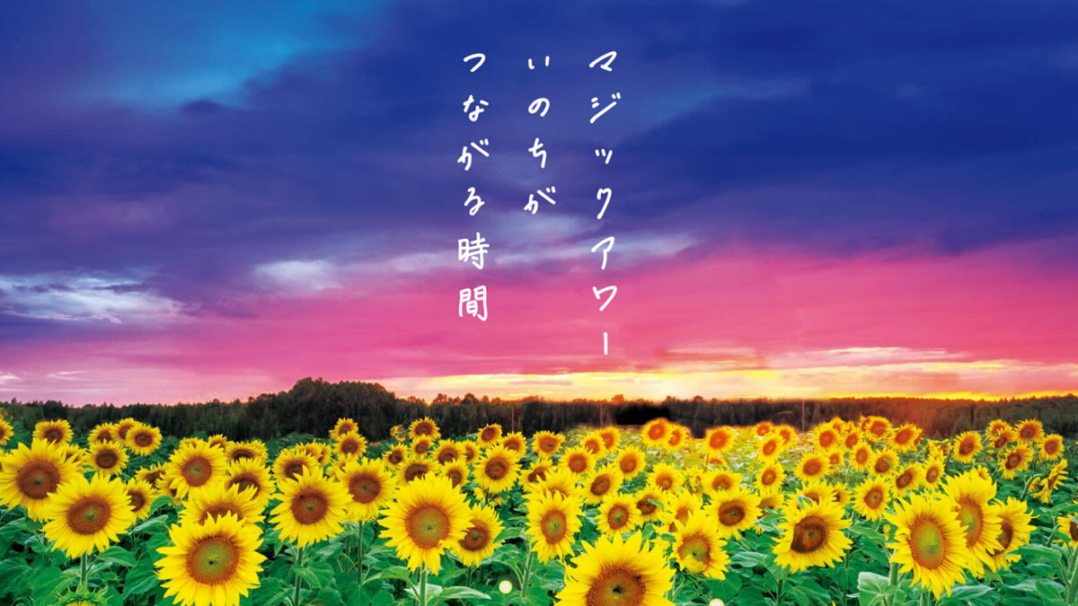 葛西臨海公園「花と光のムーブメント『マジックアワー いのちがつながる時間』」