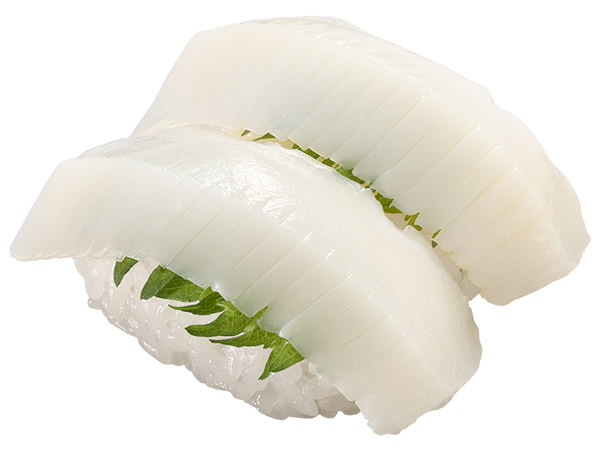 青森産 ムラサキいか